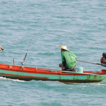 Fiskare vid Koh Phangans kust