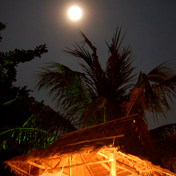 Moonshine over the beach