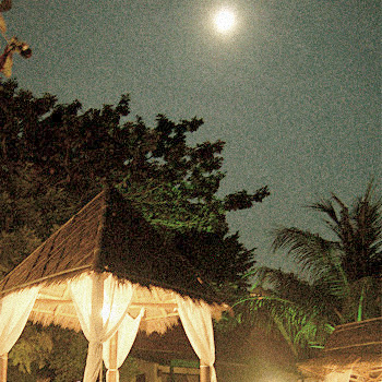 Moonshine over the beach